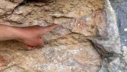 Tarihi değiştirecek keşif! 8 bin yıllık kaya resmi...
