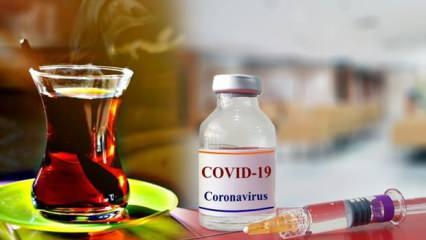 Amerikalı doktordan dikkat çeken koronavirüs açıklaması: Siyah çay tüketirseniz...
