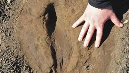 Yeri gizli tutulan ayak izi! 5 bin yıllık...