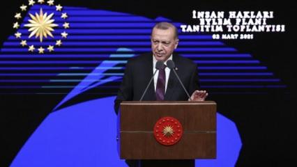 Cumhurbaşkanı Erdoğan 11 maddelik İnsan Hakları Eylem Planı'nı açıkladı