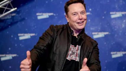 Elon Musk'ın tweetini gören aldı! ABD'lilerin yeni kazanç kapısı oldu! 