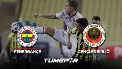 Fenerbahçe Gençlerbirliği maçı geniş özeti ve golleri! (BeIN Sports) | Kanarya evinde kayıp!