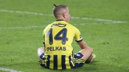 Fenerbahçe'nin mağlubiyetlerinde Pelkas gerçeği!