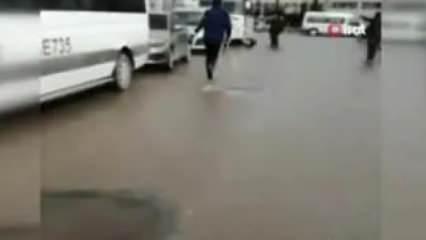 Sultanbeyli’de pitbull dehşeti! Sokak köpeği güçlükle böyle kurtarıldı