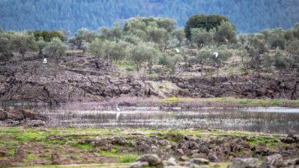 Amanos'un eteklerindeki volkanik göl göçmen kuşlarla renklendi
