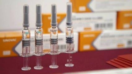 Çin aşısının koruyuculuk süresi açıklandı