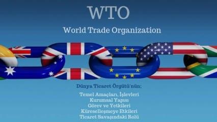 İngiltere'den Dünya Ticaret Örgütü'ne 'reform' çağrısı