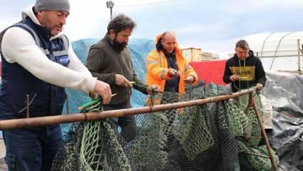 Tekirdağ'da balıkçıların sezonu erken kapatma sebebi kaykay oldu!