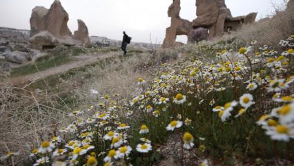 Bahar çiçekleri Kapadokya'yı renklendirdi