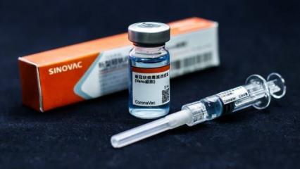 Ekvador'a 300 bin doz Sinovac aşısı ulaştı
