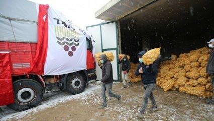 TMO, ihtiyaç sahiplerine dağıtılacak patatesin alımına başladı