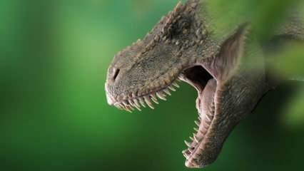 2,5 milyar T-rex türü dinozor yaşamış olabilir