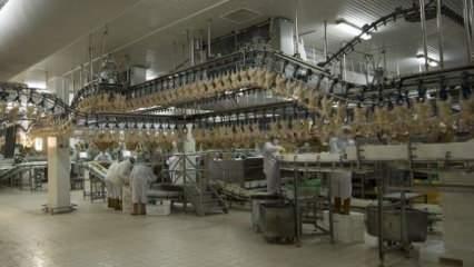 Beyaz et sektörü tavuk zammını böyle savundu
