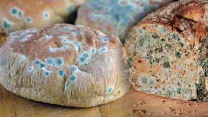 Ramazan'da ekmeğin küflenmesi nasıl önlenir?