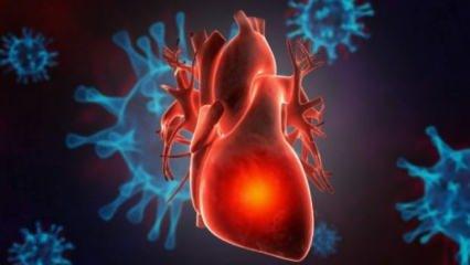 Koronavirüs kalbin kasılma gücünü bozabilir