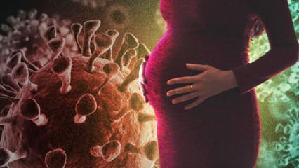 Koronavirüsün P1 varyantında önemli uyarı: Hamilelik planlarınız erteleyin