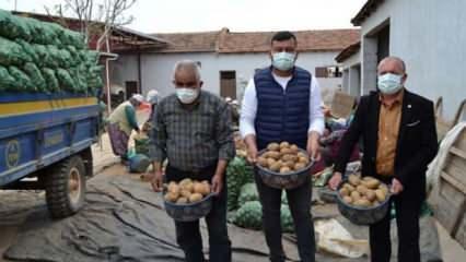 TMO, Salihli'de 160 ton patates alımı yaptı