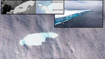 Dünyanın en büyük buz dağı tamamen yok oldu