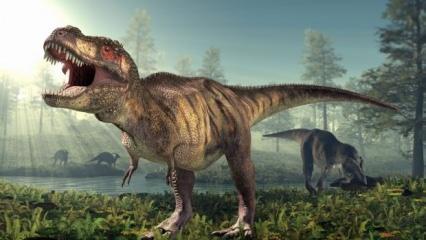 T-Rex dinozorlar hakkında çarpıcı gerçek ortaya çıktı