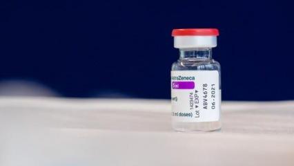 AB, aşı tedarikini geciktiren AstraZeneca'yı mahkemeye verdi