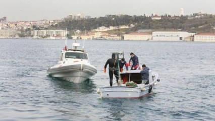 Onlarca gemi İstanbul Boğazı'na akın etti! Milyon dolarlık av