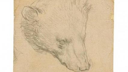 Da Vinci'nin "Ayı Kafası" çizimine rekor fiyat tahmini