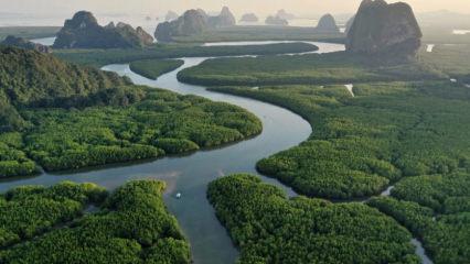 Dünyanın en uzun nehirleri