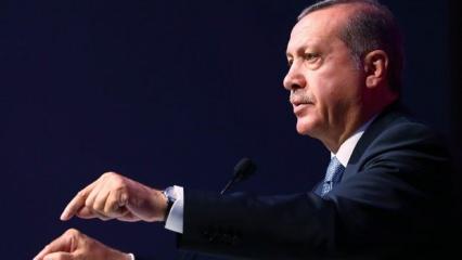 Cumhurbaşkanı Erdoğan'dan İBB'ye 'kayıp at' tepkisi