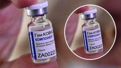 Rusya'dan tek dozluk yeni aşı: Fiyatı ve koruma oranı belli oldu