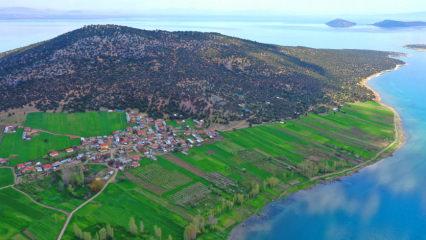 Türkiye'nin tek ada köyü: Mada