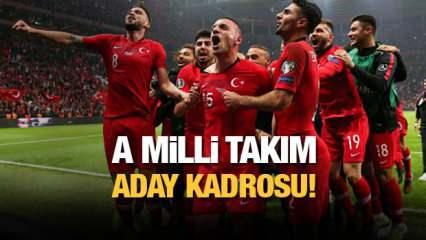 A Milli Takımın aday kadrosu açıklandı! İşte Türkiye'nin EURO 2020 kadrosu!