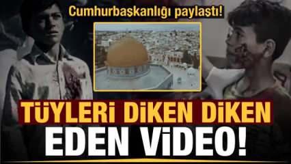Cumhurbaşkanlığı paylaştı! T&uuml;yleri diken diken eden video