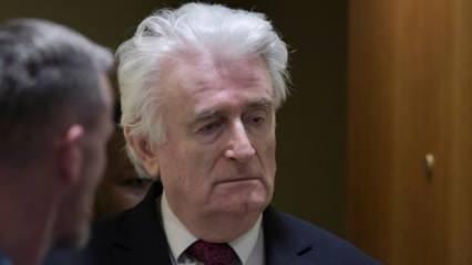 Savaş suçlusu Karadzic, hapis cezasının kalanını İngiltere'de çekecek