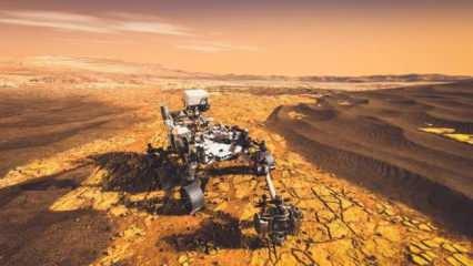 'NASA, Dünya'daki mikropları Mars'a taşıdı'