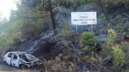 Patlayan araç orman yangınına sebep oldu