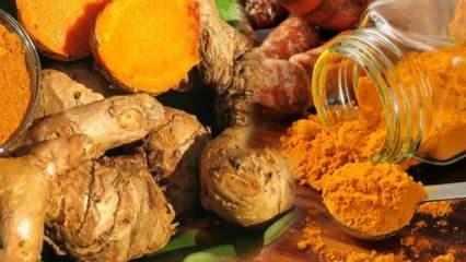 zencefilin faydalari nelerdir zencefil ve limon hangi hastaliklara iyi gelir saglik haberleri