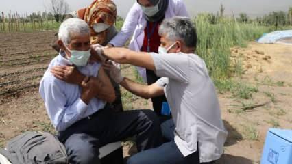 Erzincanlı çiftçiler hastaneye gidemedi, mobil aşı ekipleri tarlada aşı yaptı