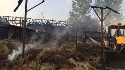 Çiftlikteki yangında 4 büyükbaş hayvan telef oldu, yüzlerce saman yandı
