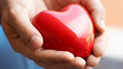 Susam b&uuml;y&uuml;kl&uuml;ğ&uuml;nde yapay insan kalbi &uuml;retildi