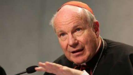 Baş Kardinal Schönborn'den ülkedeki Müslümanların fişlenmesine tepki: Tehlikeli buluyorum