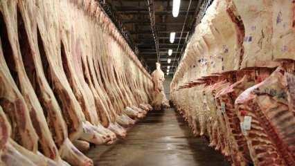 Dünyanın en büyük et üreticisi JBS SA, siber saldırıya uğradı