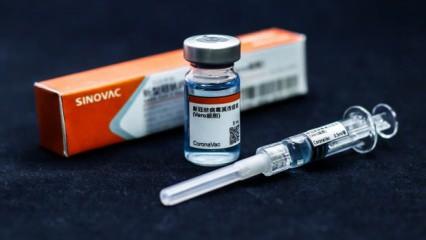 Sürü bağışıklığı testi: Türkiye'nin de kullandığı Sinovac aşısı salgını durdurdu