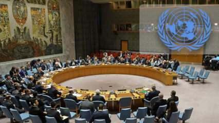 BM Güvenlik Konseyi'ne 5 yeni geçici üye seçildi