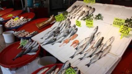 Müsilaj sonras balık satışları düştü