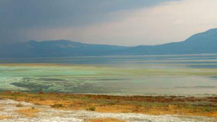 Burdur Gölü'nde alg patlaması! Rengi değişti