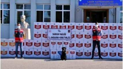 Samsun'da kaçak makaron operasyonu: 33 gözaltı