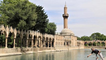 Güneydoğu "Mezopotamya" ile turizmin gözdesi olacak