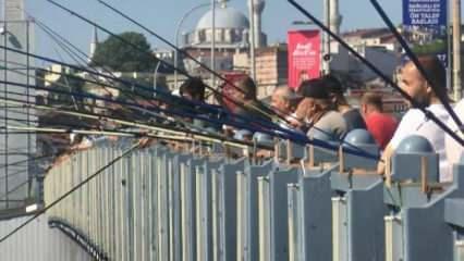 İstanbul Boğazı ve Galata Köprüsü olta balıkçıların akınına uğradı