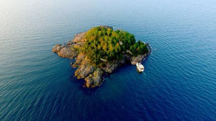 Karadeniz'in yaşanılabilir tek adası ziyaretçilerini bekliyor