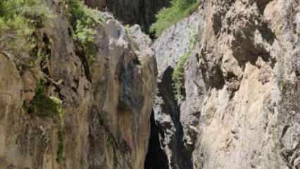 Kastamonu'daki Cibis Kanyonu dayı ve yeğene mezar oldu 
